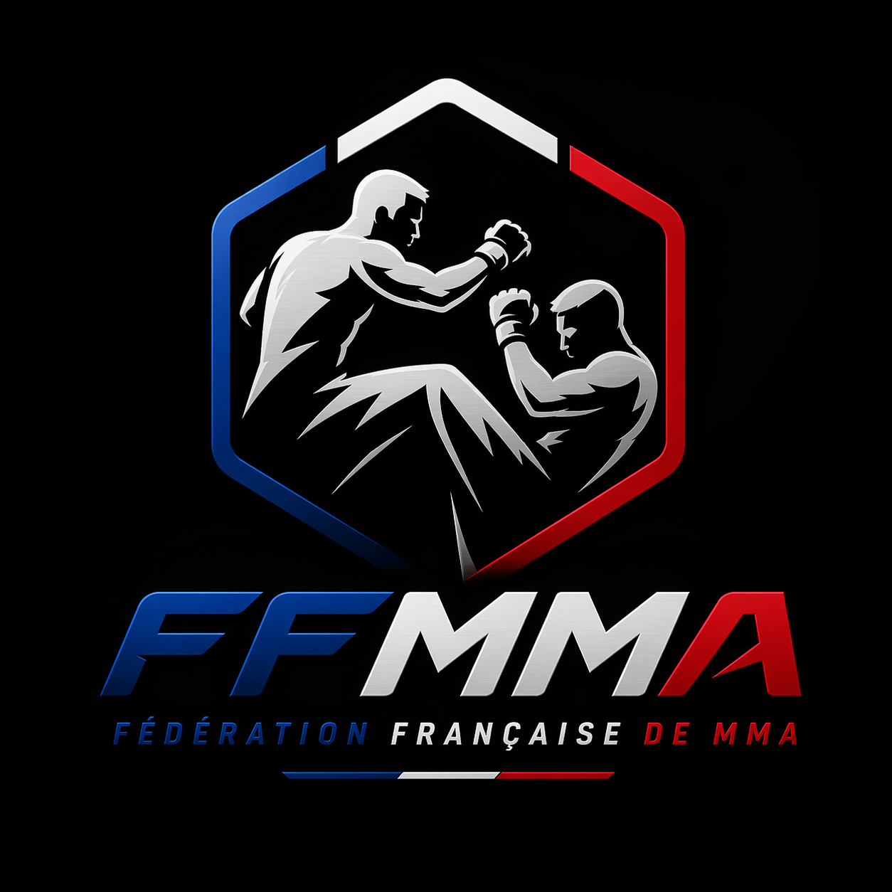 Logo FFMMA
